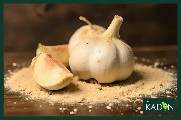 پودر سیر؛ ادویه‌ای جادویی با خواص بی‌نظیر