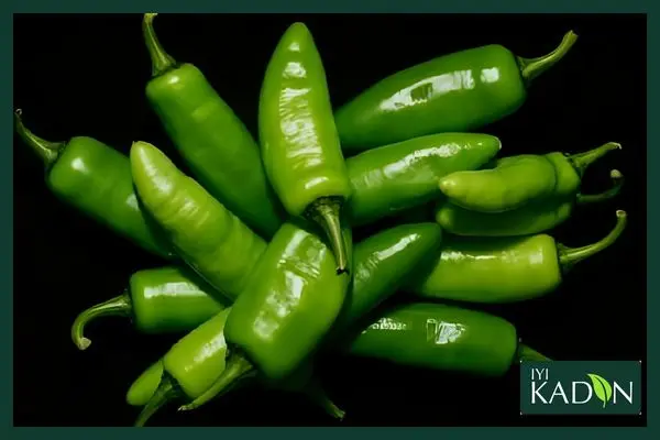 فلفل هالوپینو ادویه - ایکادین