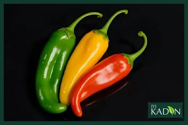 فلفل هالوپینو ادویه - ایکادین